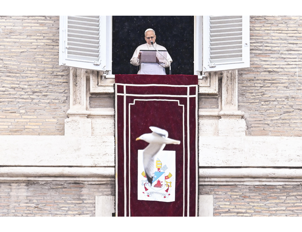 Il Papa, ‘ladro chi fa la guerra, ruba un futuro di pace’