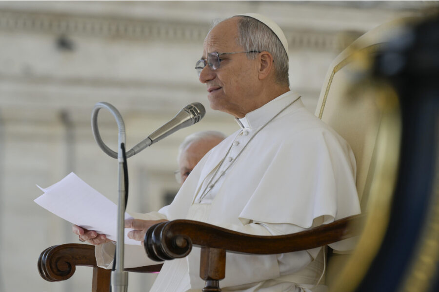 Udienza generale. "Dio conceda a tutti la pace e la consolazione"