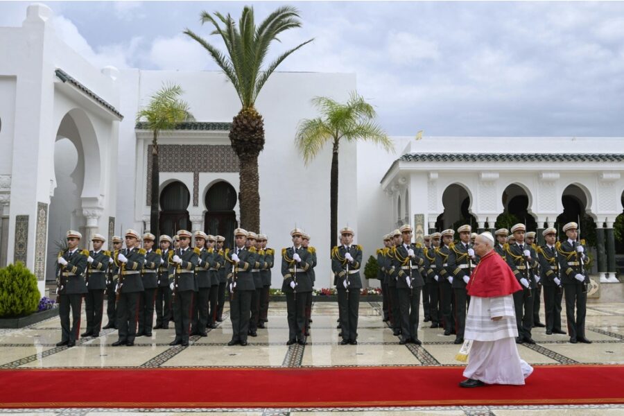Leone pianta un ulivo