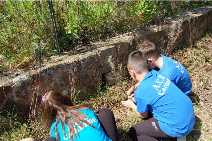 Nella "Casa dei sogni" di Cardedu inaugurato il murale dell'artista Crisa