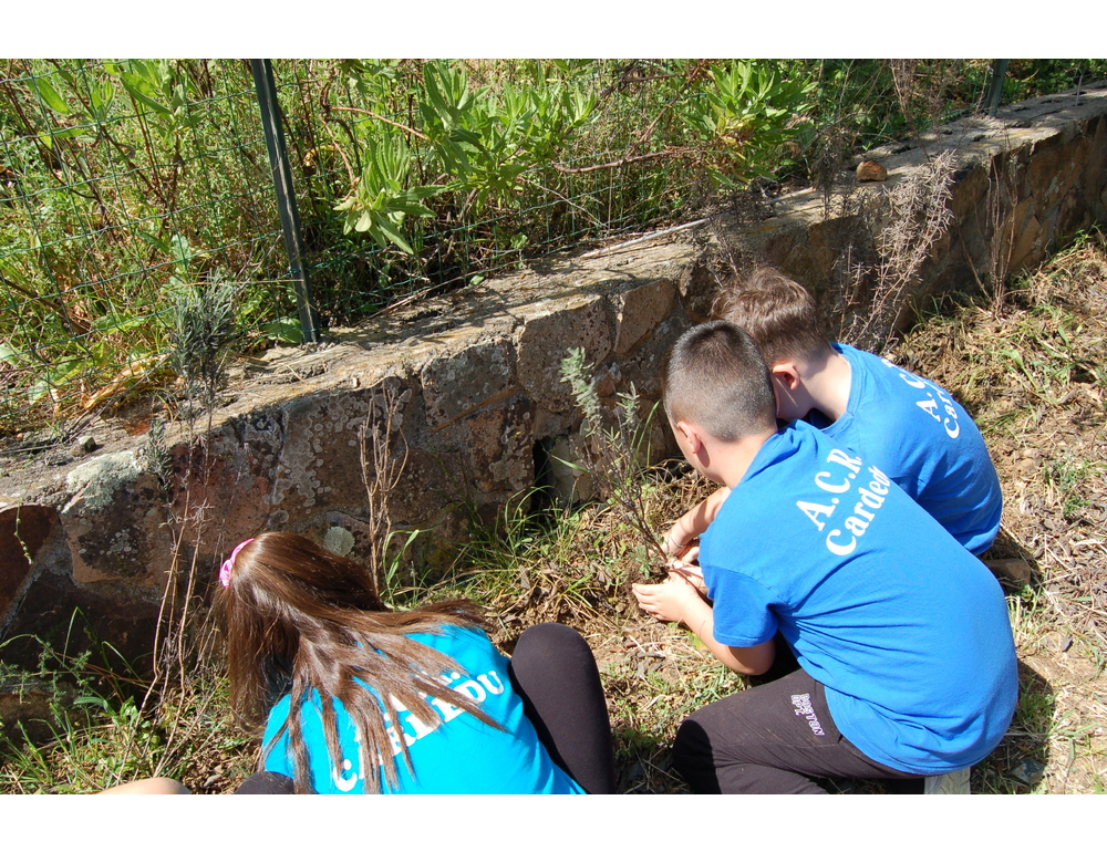 In Ogliastra residence confiscato a criminalità per vacanze dei più fragili