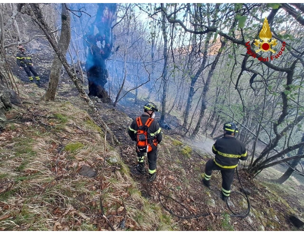 Incendio in Appennino bolognese, situazione sotto controllo