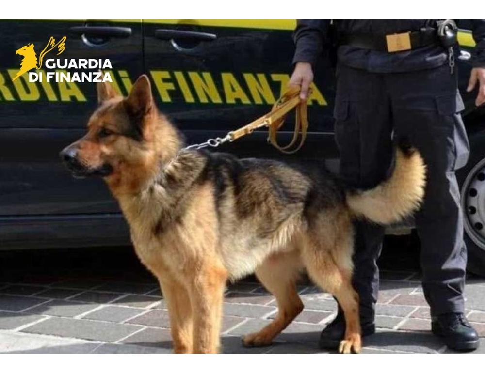 La Finanza stronca un traffico di cocaina a Parma, tre arresti