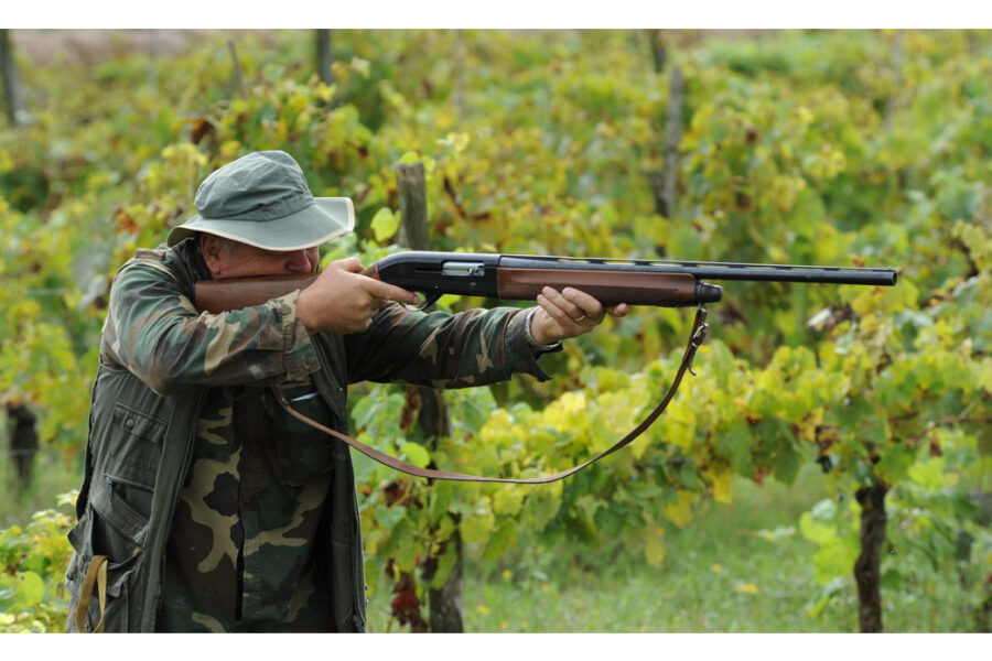 Estensione degli spazi anche in aree demaniali