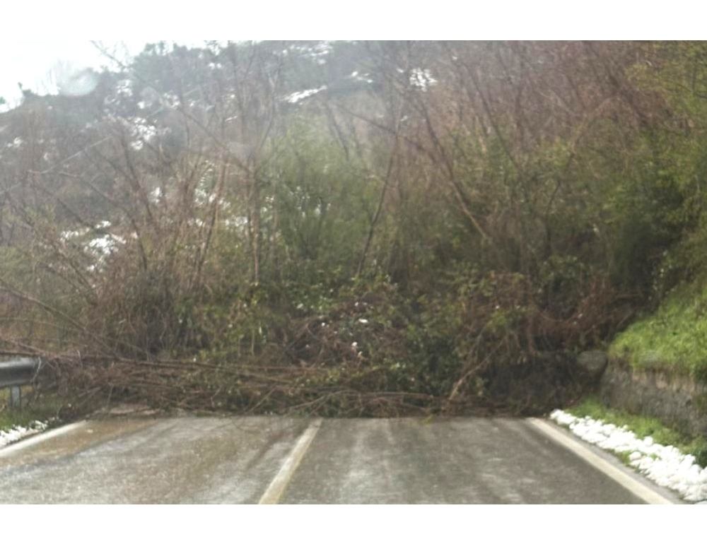 Maltempo in Molise, frana sulla sp 86 provoca chiusura al transito