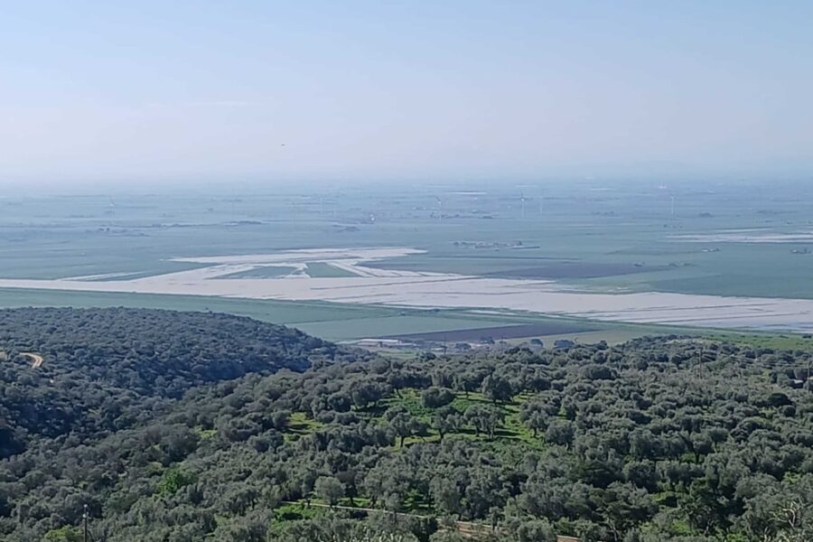 'Non è stata la pioggia in sé ma lo straripamento del torrente Salsola'