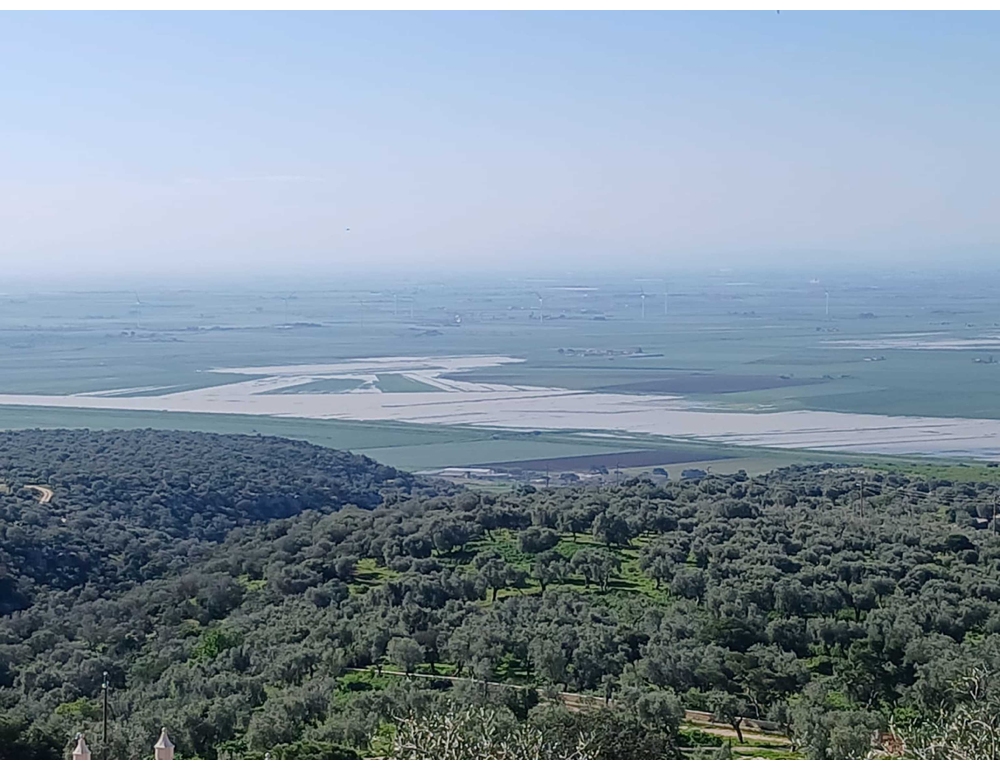 Maltempo nel Foggiano, agricoltore ‘c’è un metro di acqua nei terreni’
