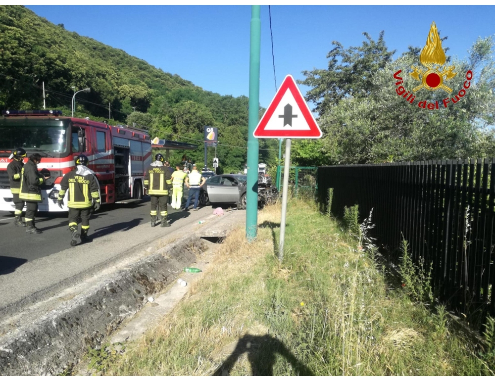 Mandria su strada, ferite quattro persone, muoiono sette mucche