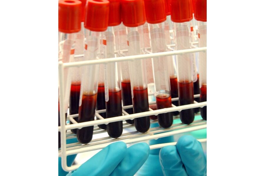 'Tenuti in conformità a protocolli standardizzati'