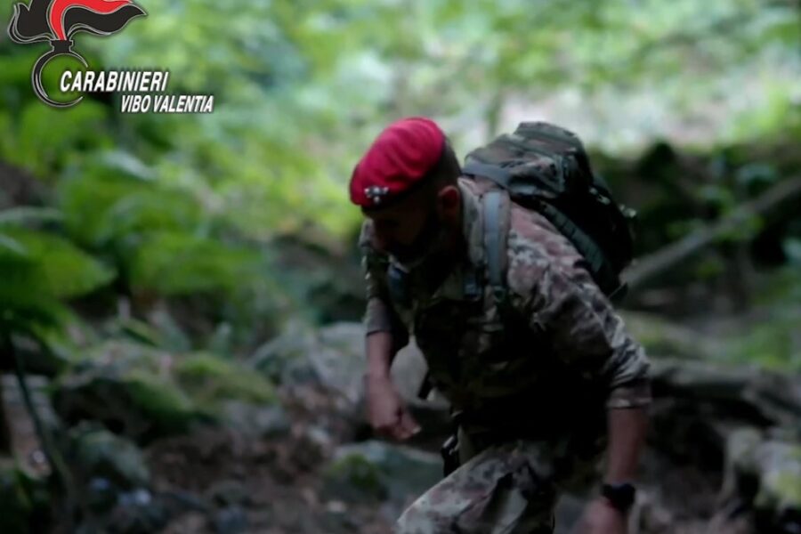 Ad alcuni indagati contestato anche il reato di omicidio