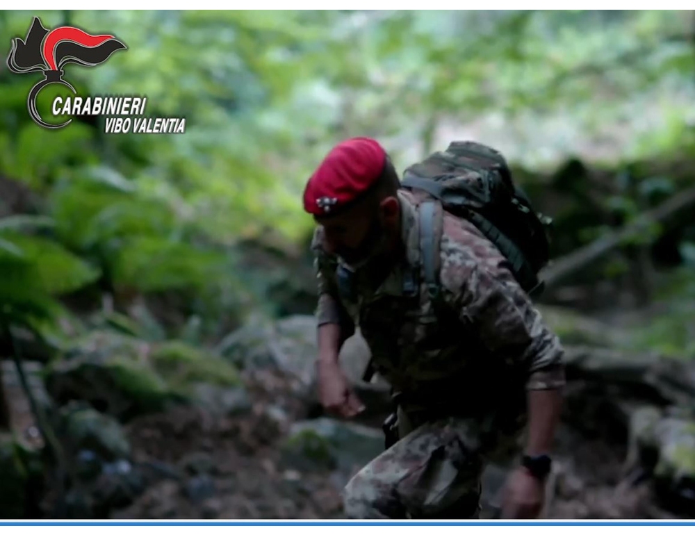 ‘Ndrangheta, blitz dei carabinieri nel vibonese, 15 provvedimenti
