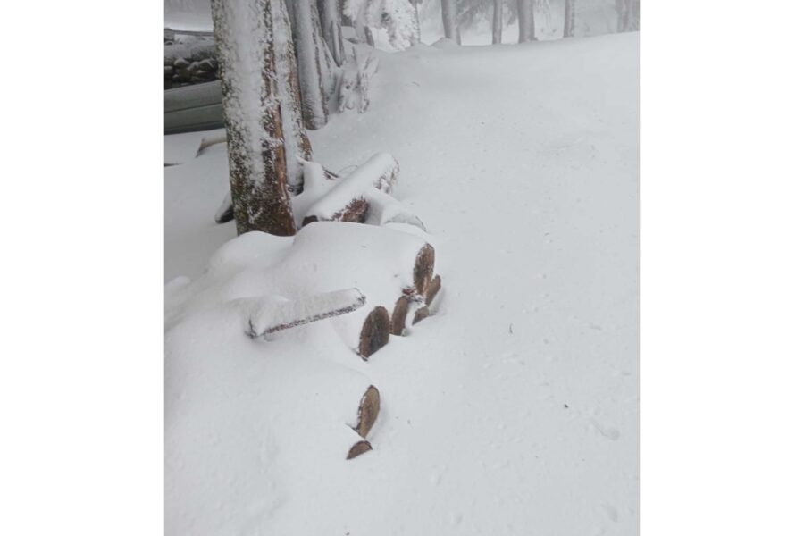 Nel 2024 i fiocchi bianchi caddero sull'Isola per il 25 aprile