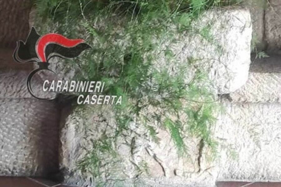 Nel Casertano titolare ne era al corrente ed è stato denunciato