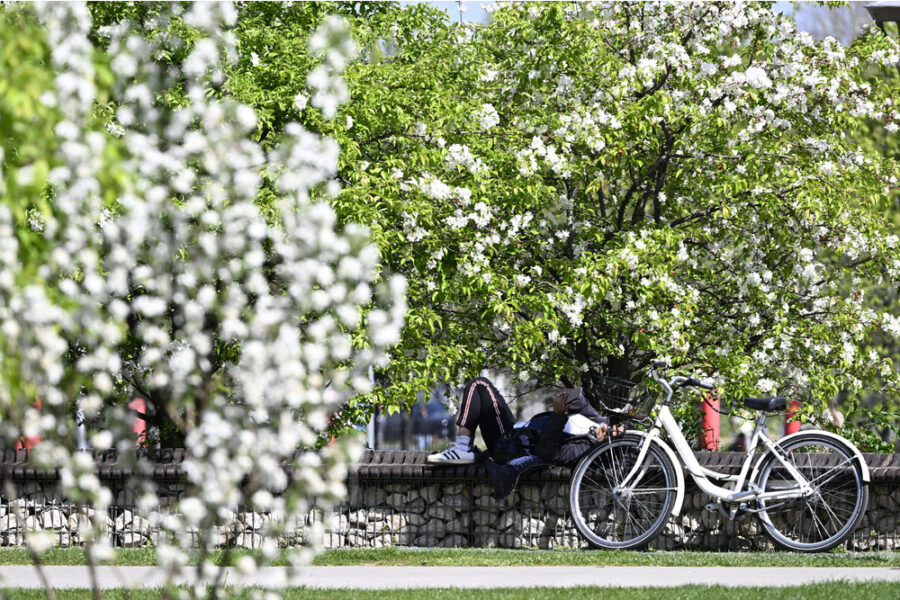ILMeteo.it: "Tra le festività più calde degli ultimi decenni". Fa eccezione Genova