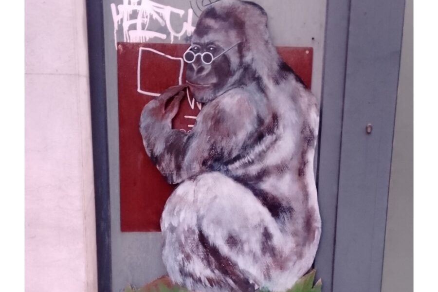 'Chissà chi avrà coraggio di attaccarci un bel pesce d'aprile sulla schiena...'