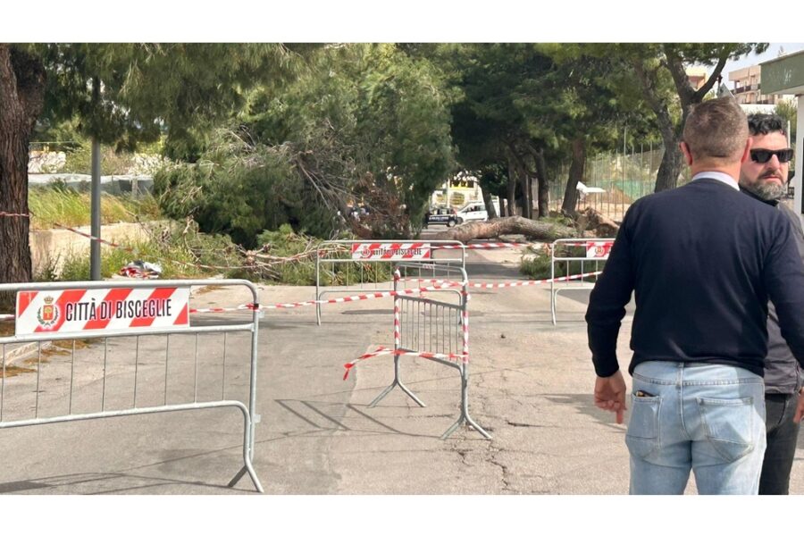 Avvisi di garanzia a dipendenti comunali di Bisceglie. Oggi autopsia e consulenza tecnica