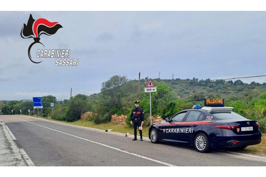 Gruppetto sorpreso mentre sradica declinatori di margine e lancia pietre