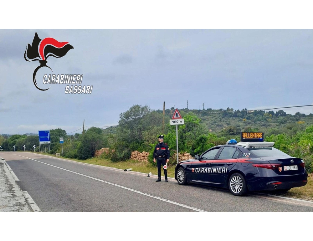 Raid vandalico sulla strada statale, sei minorenni denunciati in Gallura