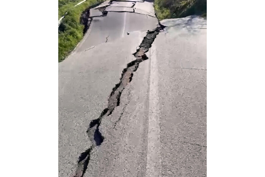 Videocall con Salvini