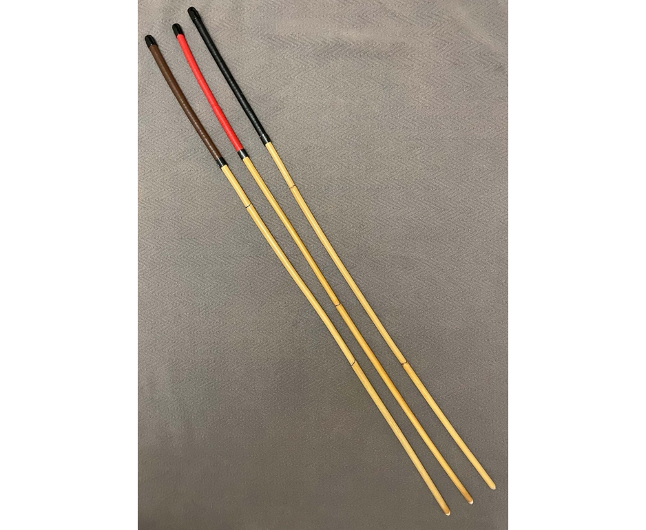 Singapore, sanzioni e frustate contro la cattiva condotta a scuola entro il 2027