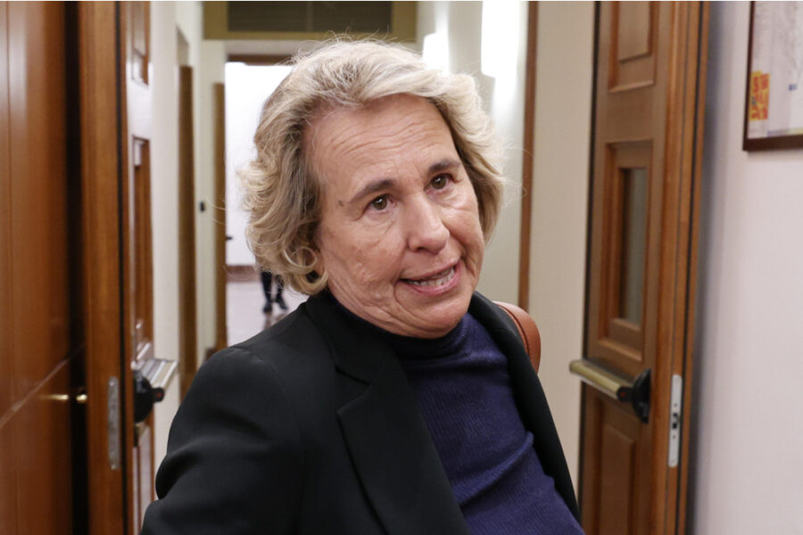 La capogruppo al Senato: 'Milano è città riformista