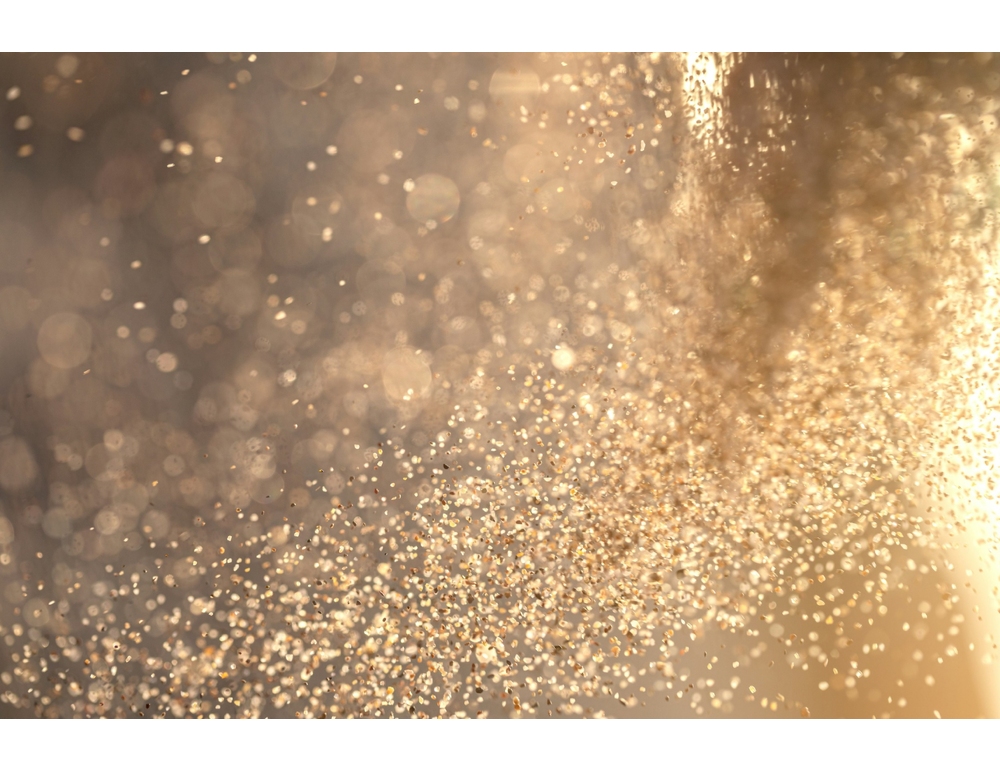 Studio Sissa, fuga o meta le due reazioni dei microorganismi all’ambiente