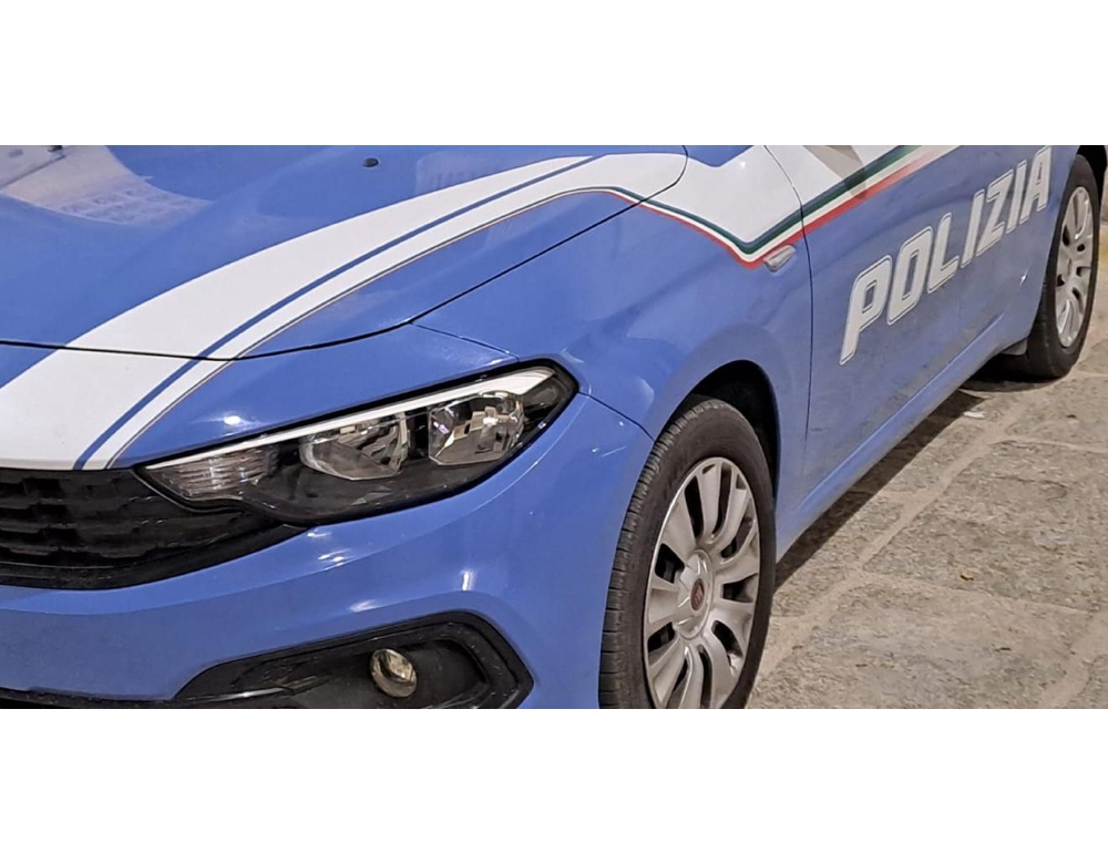 Tenta di strangolare la compagna con un guinzaglio, arrestata una ragazza