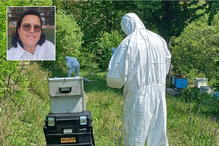 L'uomo che ha distrutto tre vite era "un giardiniere instancabile"