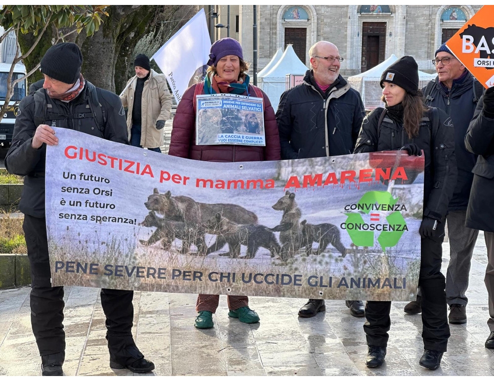 Uccisa a fucilate, riparte processo per l’orsa Amarena, aumentano parti civili
