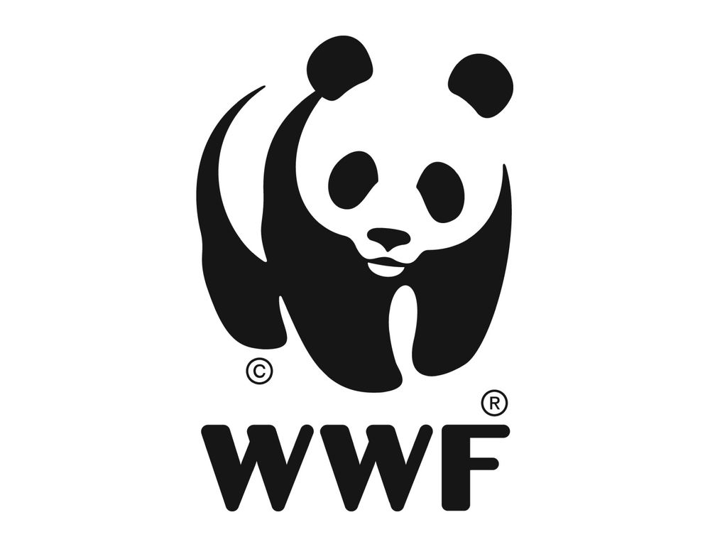 Wwf, ‘avvelenamenti di lupi e fauna, emergenza ambientale in Abruzzo’