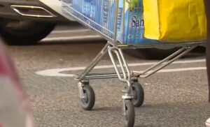 carrella della spesa