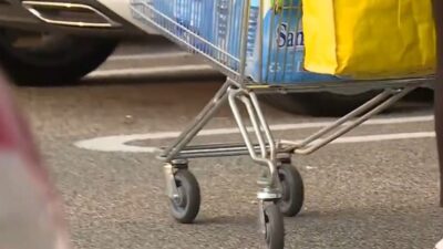 carrella della spesa