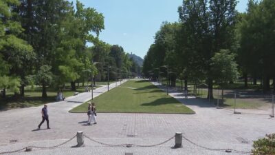 Giardini a Lago, Comitato e Pd contro il Comune. Rapinese: “Mafalda di Savoia fa schifo, presto un intervento”