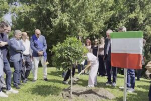 Da Palermo a Cantù un albero per il futuro. Oggi la commemorazione della strage di Capaci