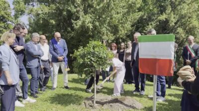 Da Palermo a Cantù un albero per il futuro. Oggi la commemorazione della strage di Capaci