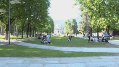 Giardini a lago, i ciliegi non saranno ripiantati. Nuovo round Rapinese-Gaddi: ennesimo scontro