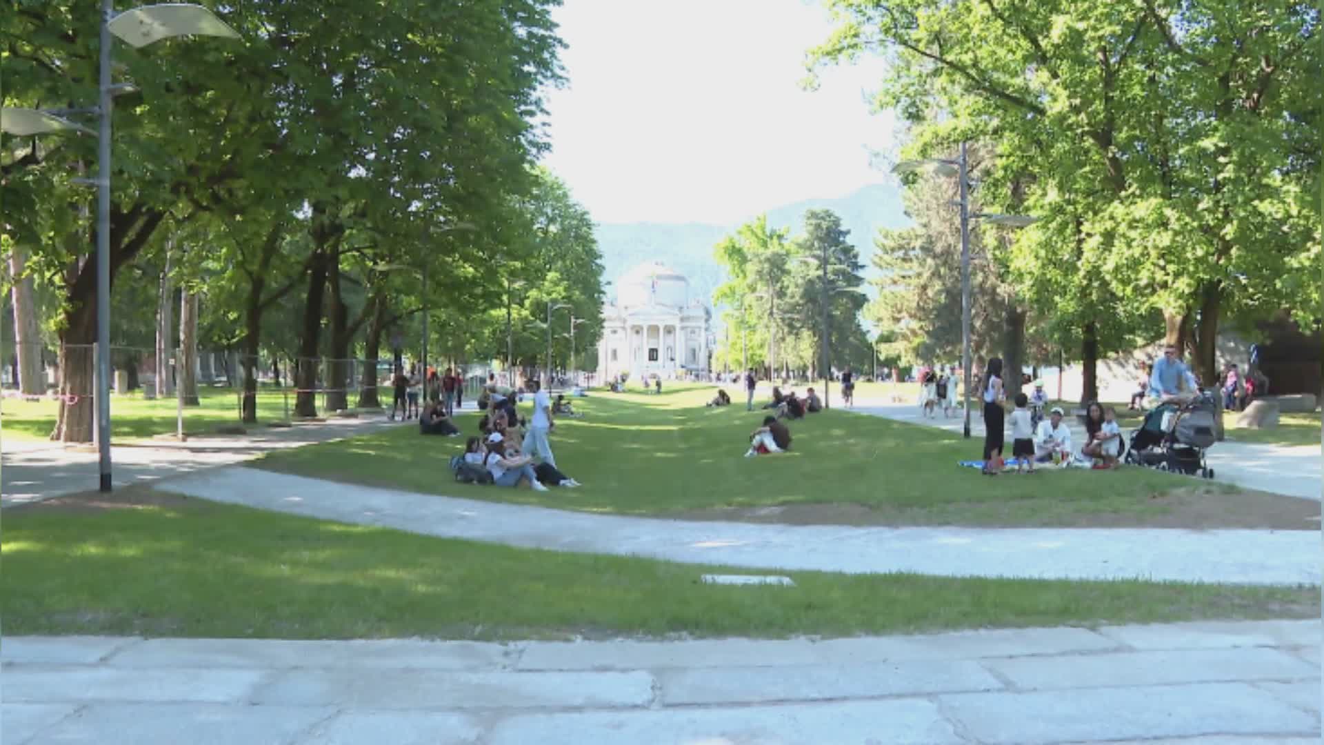 Giardini a lago, i ciliegi non saranno ripiantati. Nuovo round Rapinese-Gaddi: ennesimo scontro