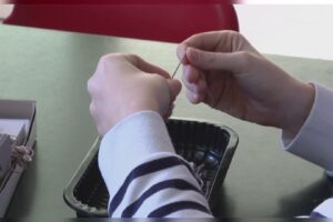 25 milioni per l’inclusione lavorativa, Locatelli: “Passo concreto per i giovani con disabilità”