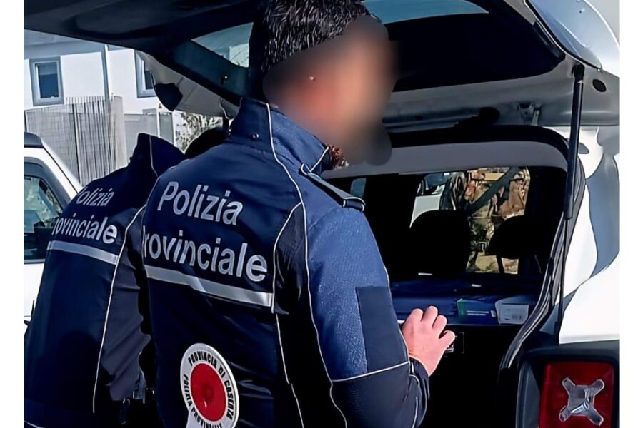 Nel Casertano