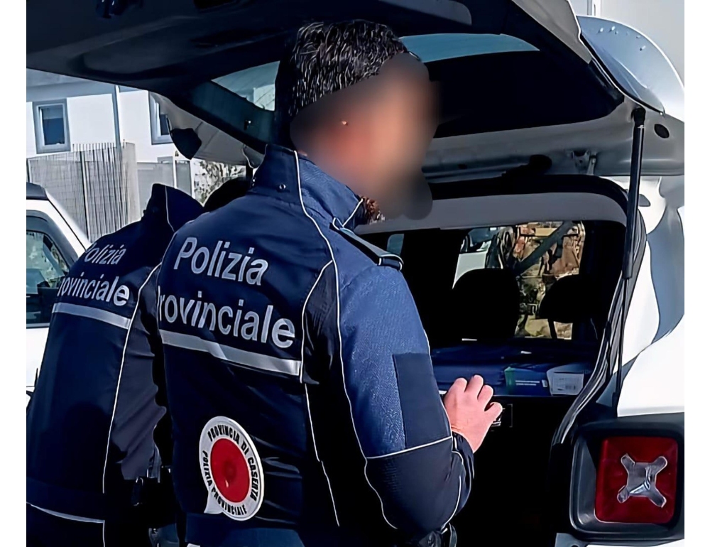 Abbandona la cagnolina che muore investita, rischia fino a sette anni