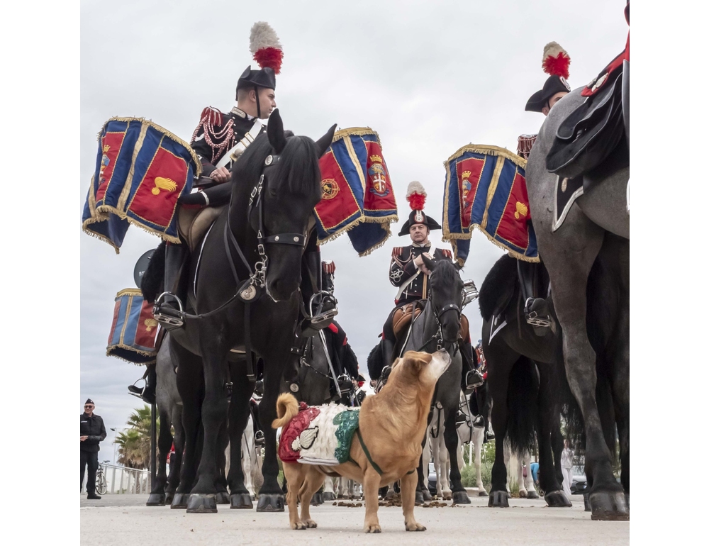 Apre a Rimini il 26/o raduno dell’Associazione nazionale carabinieri