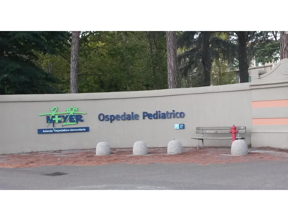 Bimbo di 5 anni morto al Meyer, inchiesta per omicidio colposo