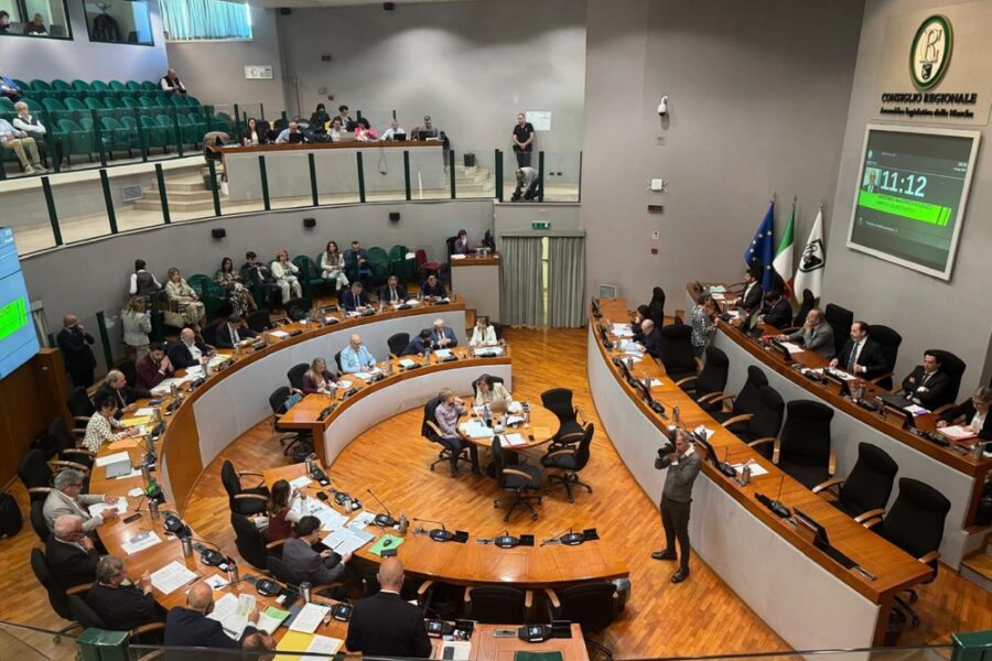 Assessore Sanità: "volevate usarla come clava politica". Il Pd: "polvere sotto al tappeto"