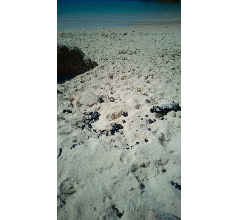 Falò su una spiaggia protetta a Caprera, il Parco avvia le verifiche