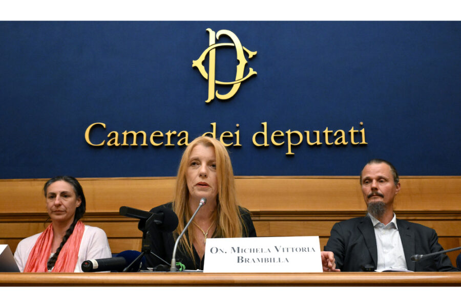 "Situazione di salute precaria ascrivibile alla permanenza nella 'casa famiglia'"