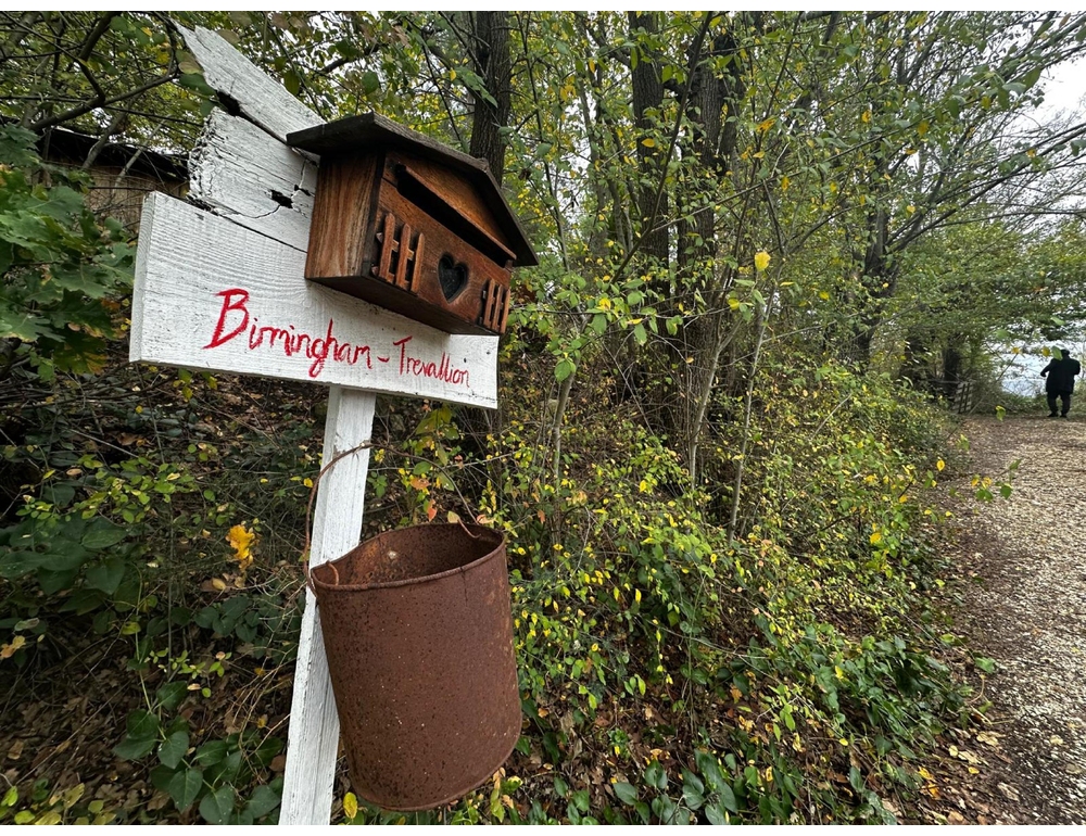 Famiglia nel bosco, Terragni ‘bimba malata ha diritto di stare con genitori’
