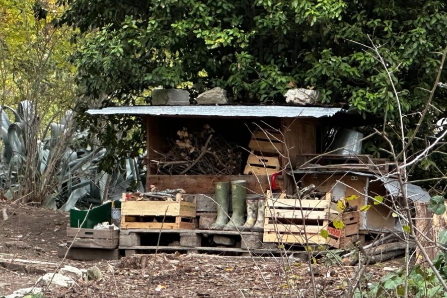 Solinas 'non c'era una visione comune'