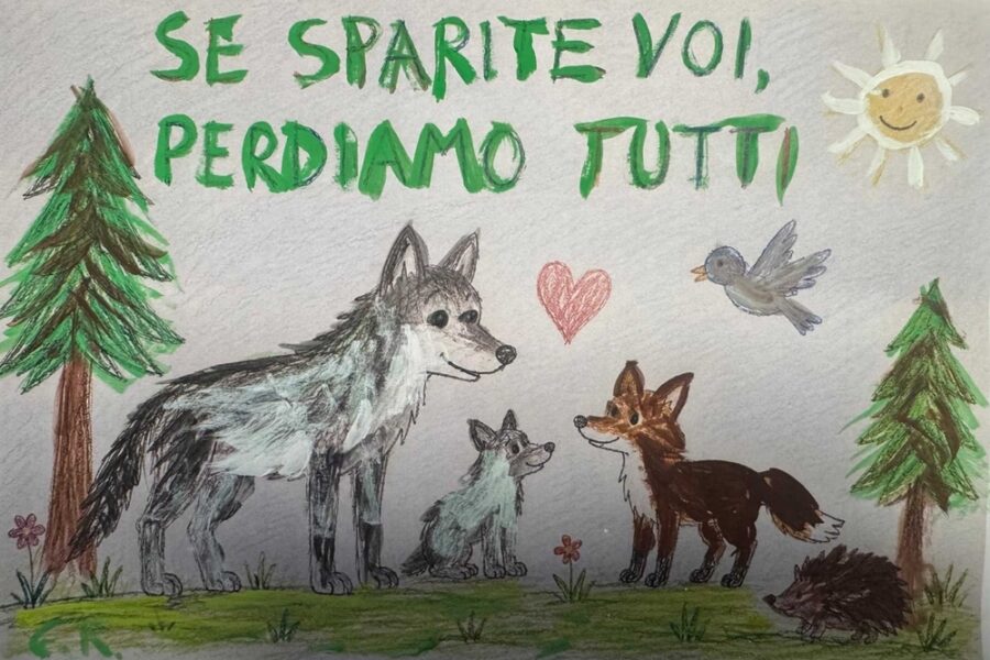 Consegnati da Enpa a Giorgia Meloni in occasione della Giornata della Biodiversità