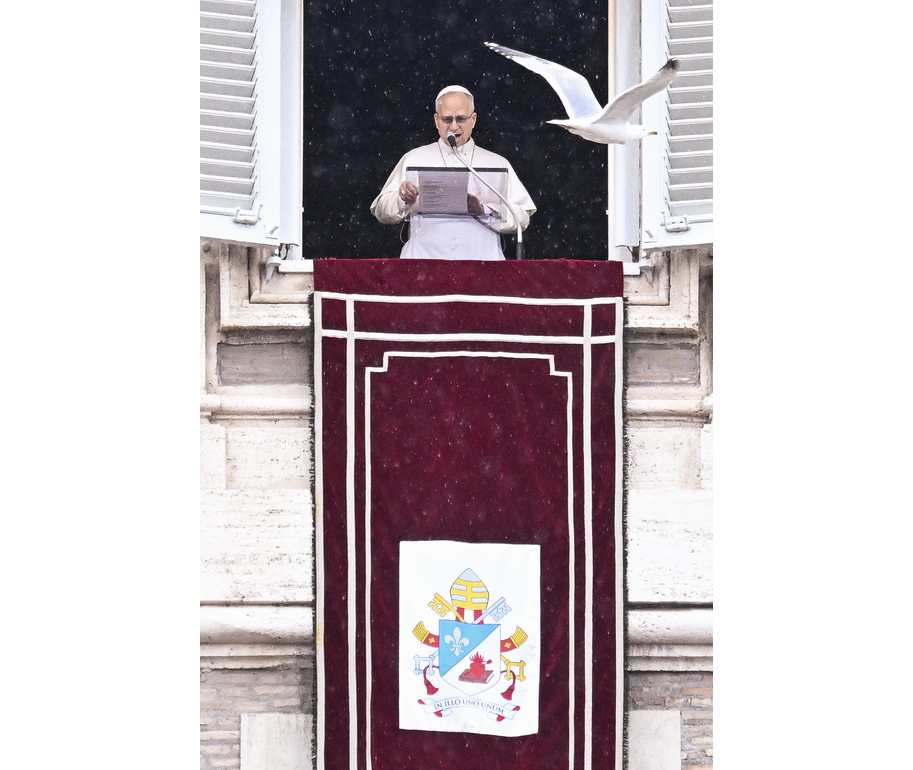 Il Papa, ‘le polarizzazioni e il disprezzo portano distruzione’