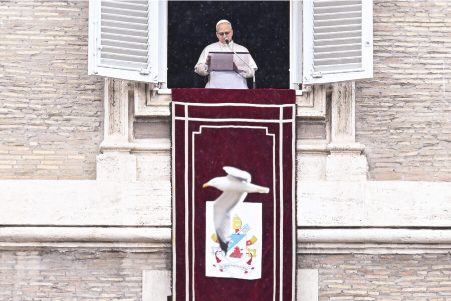 L'appello al Regina Coeli a Piazza San Pietro